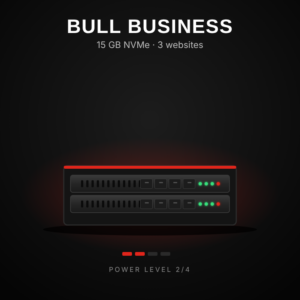 Bull Business